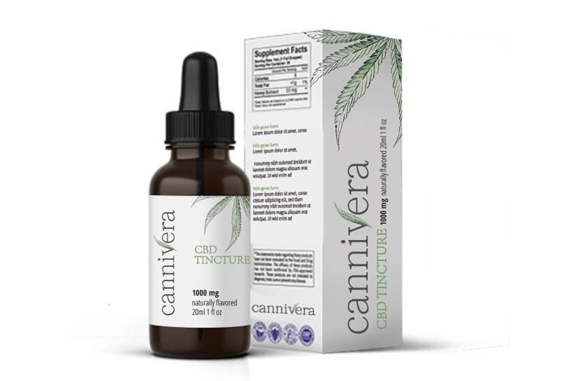 Talk Read Play brandbook