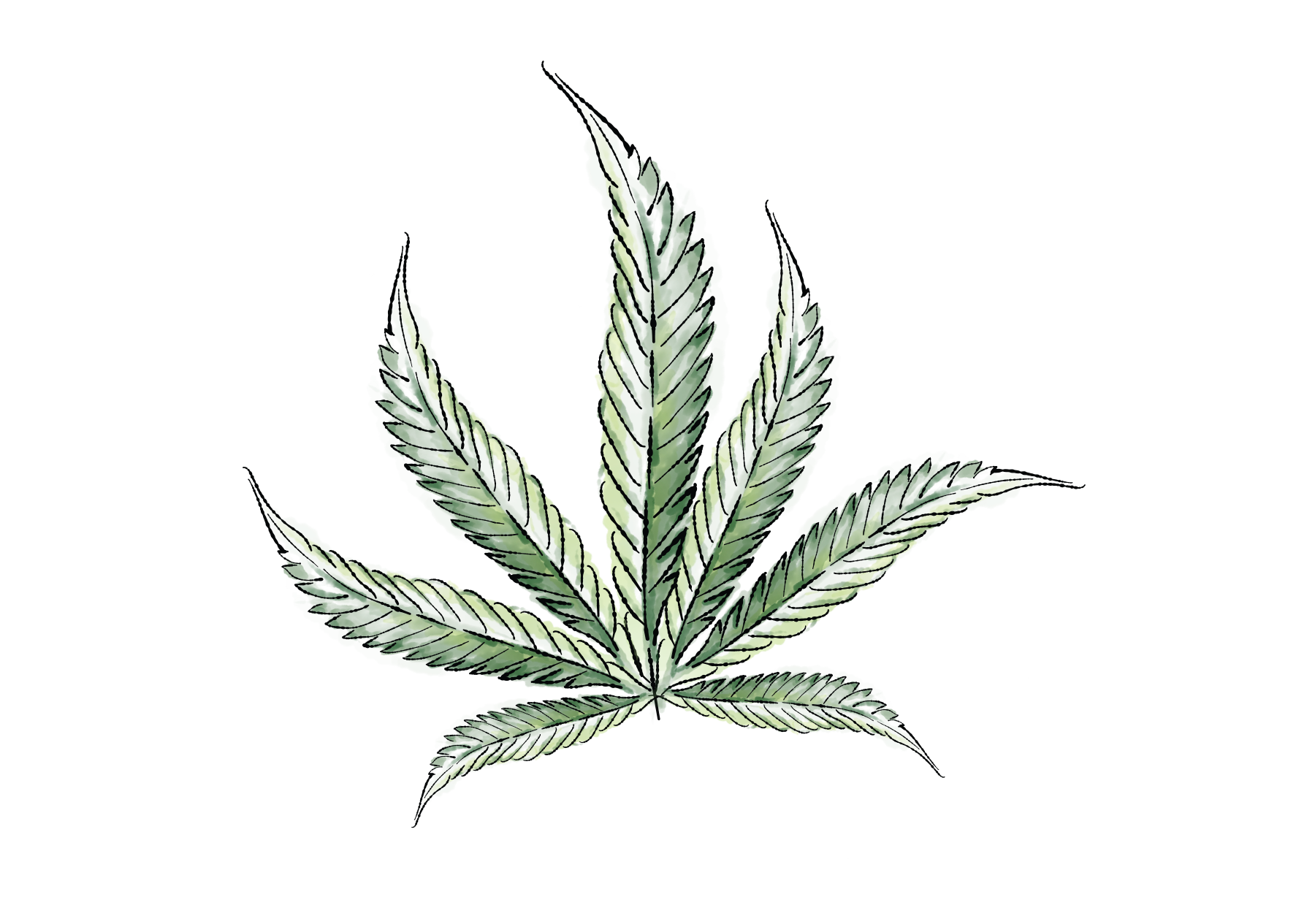 Talk Read Play brandbook