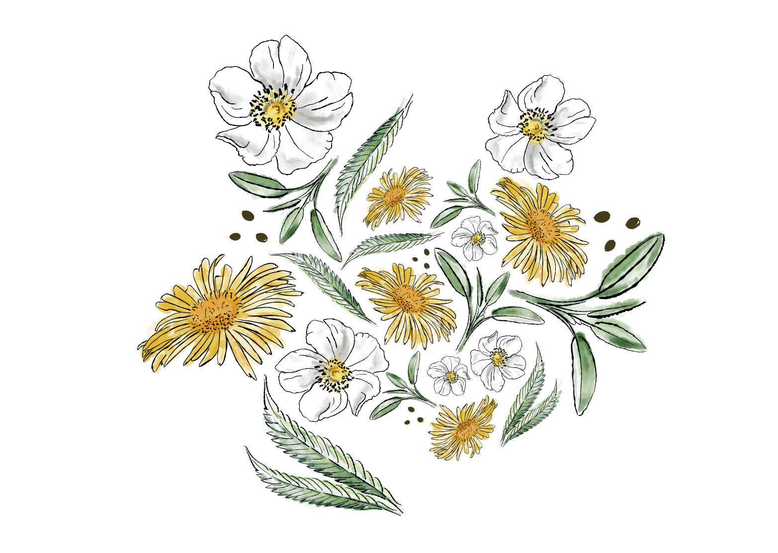 Talk Read Play brandbook