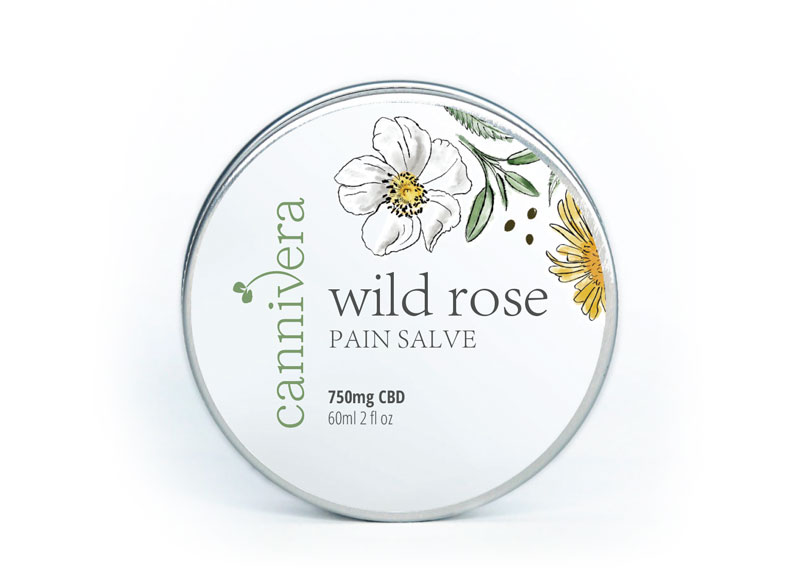 Talk Read Play brandbook