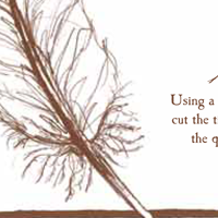 quill pen instructions