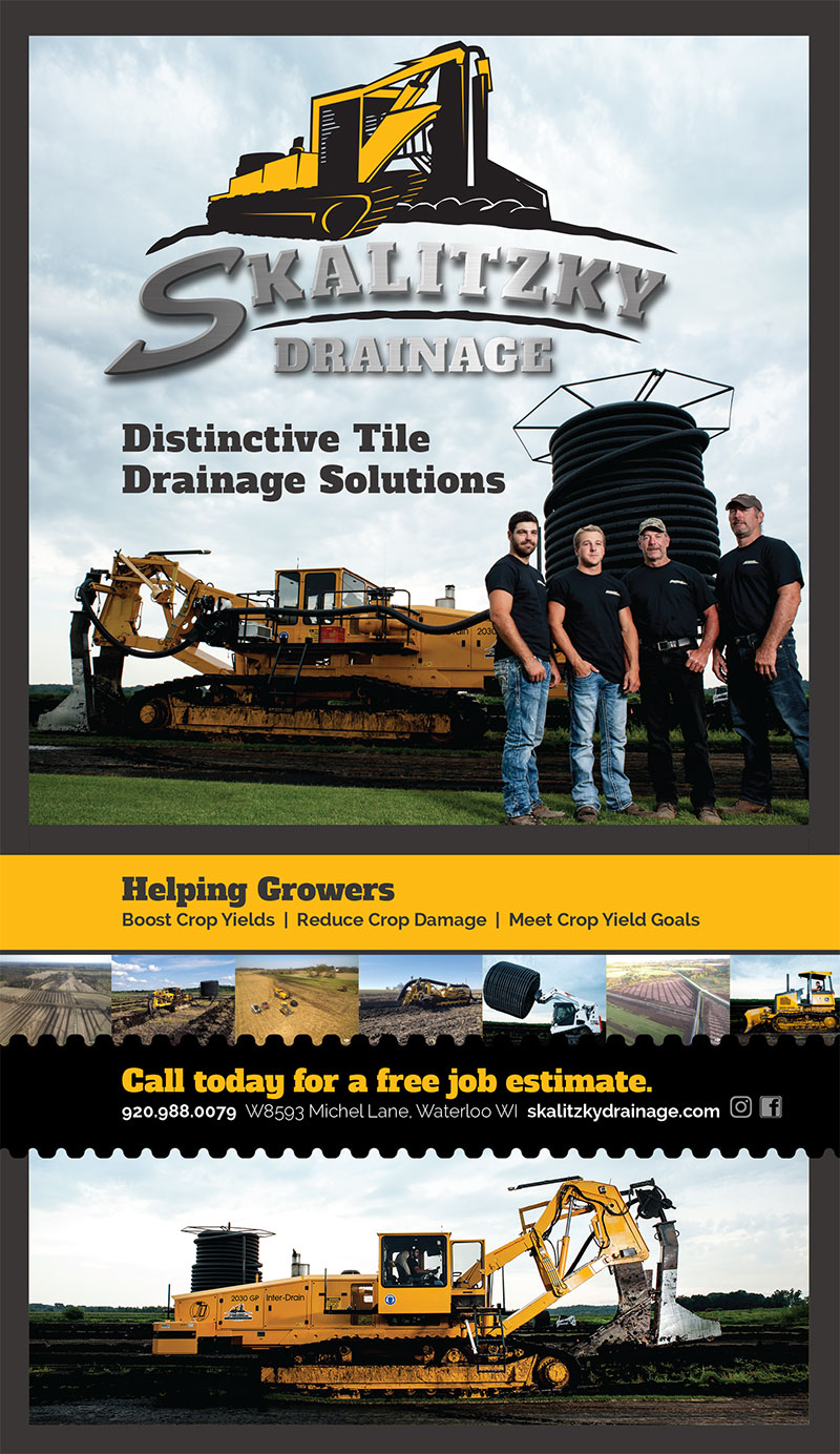 Skalitzky Convention Banner